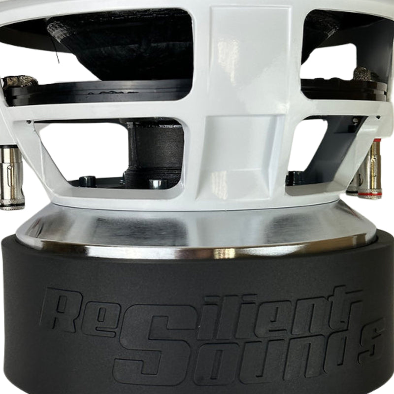 Resilient Sounds V2 Gold Series 10" Dual 2 Ohm 1500 Watt RMS Subwoofer