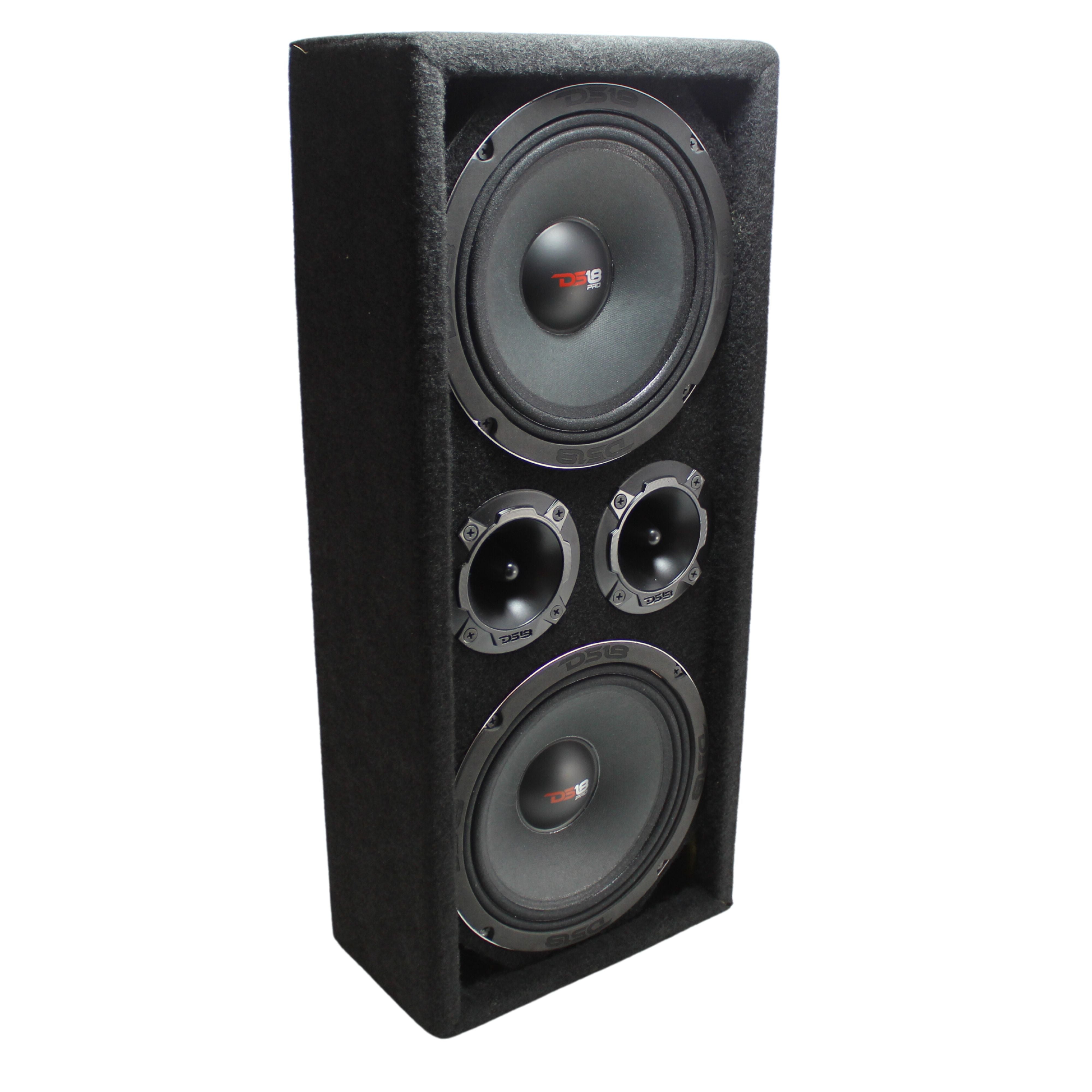 DS18 Pro Audio Fullrange Box w/ Dual 8