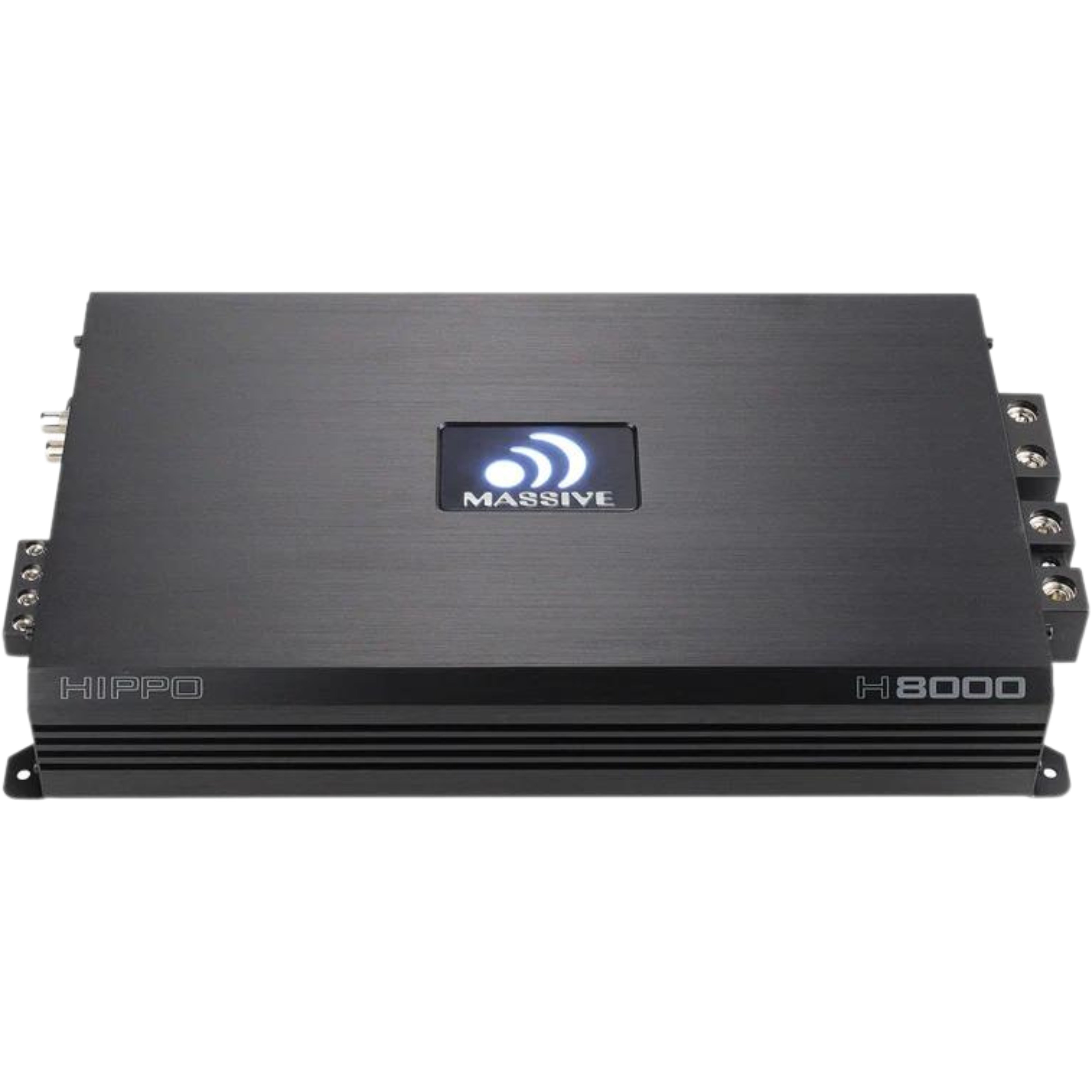 8000W RMS 1-Ohm Monoblock Amplifier Massive Audio HIPPO Series MA