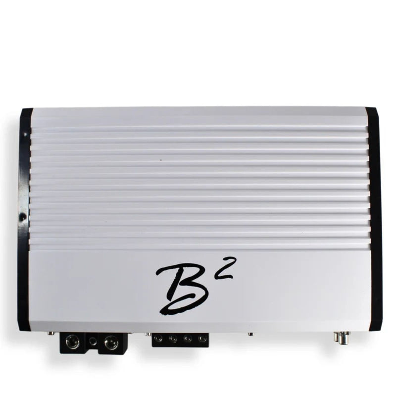 Dual B2 Audio RIOT 12" D4 2000W RMS Subs with RAGE 2300.2 Amp