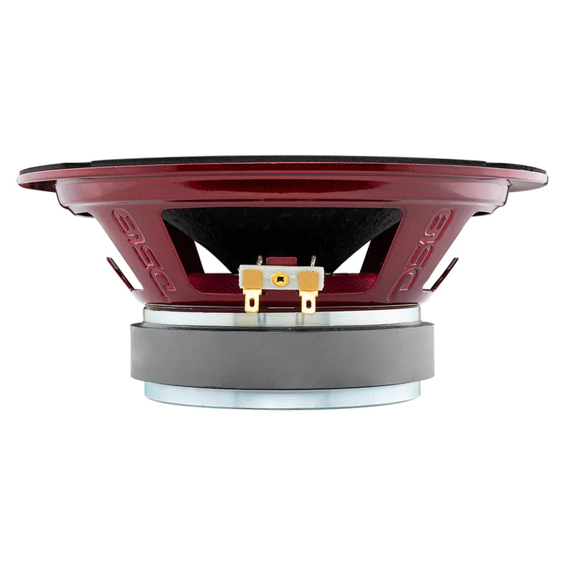 DS18 8" 4 Ohm 257W RMS Midrange Loudspeaker w/ RGB LED Lights PRO-X8.4RGBCAP