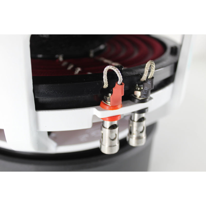 10" 750 Watts RMS 3" Voice Coil Dual 4-Ohm Riot Series Version 2 Subwoofer