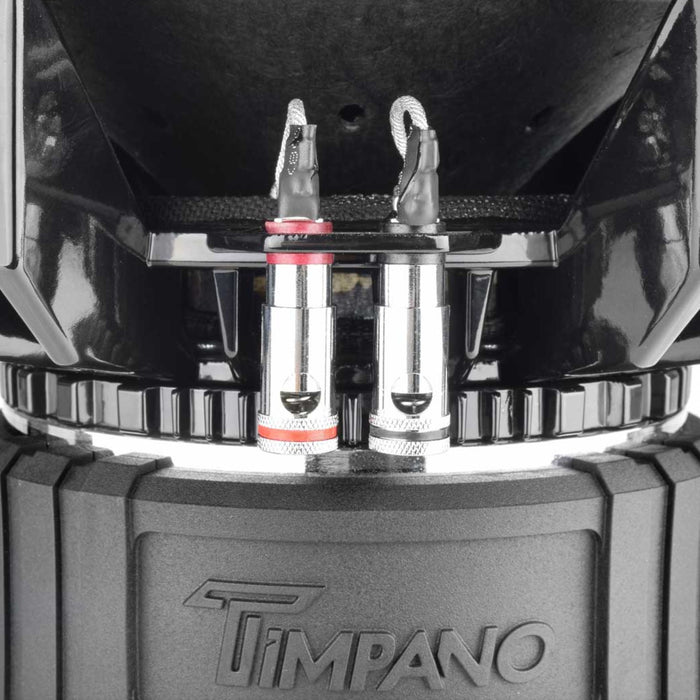 Timpano 12 Inch 2500W Dual 2 Ohm High Performance Subwoofer TPT-T2500-12 D2