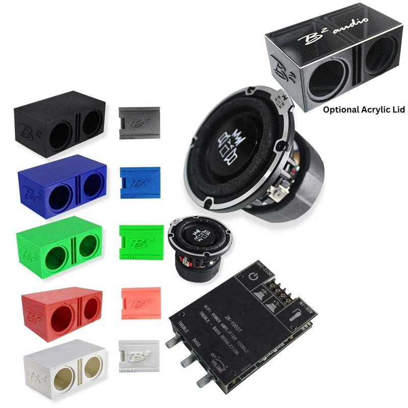 B2 Audio RIOT-2.5 Mini Woofer System 3D-Printed Box, Amp & Enclosure DIY Project