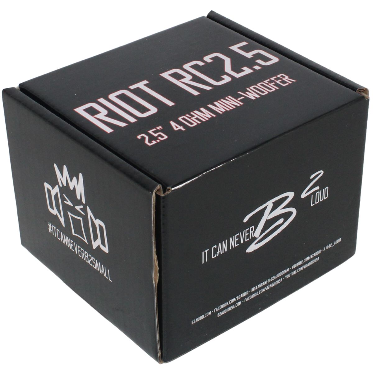 B2 Audio Mini Woofer 2.5