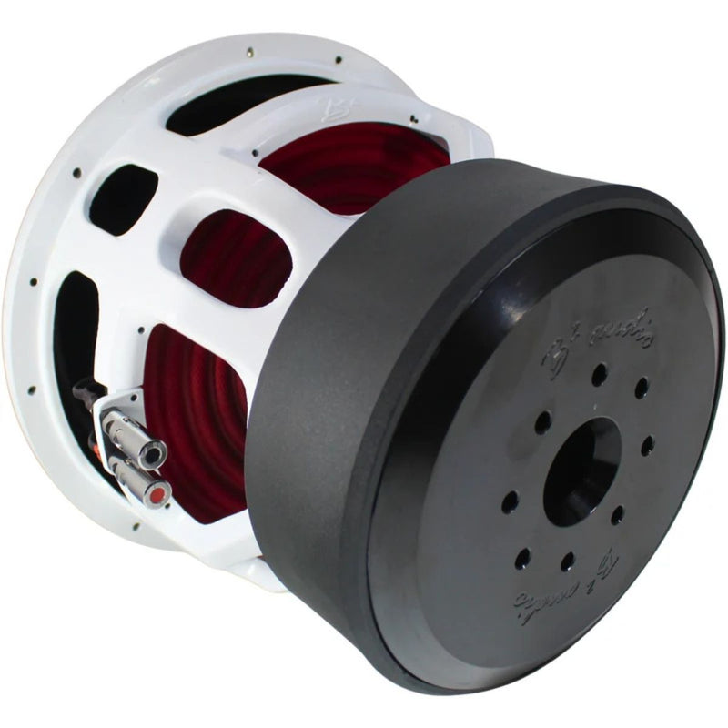 Dual B2 Audio RAGE12-D1-V4 12" 4000W RMS Subs with RAGE 3500 Amp