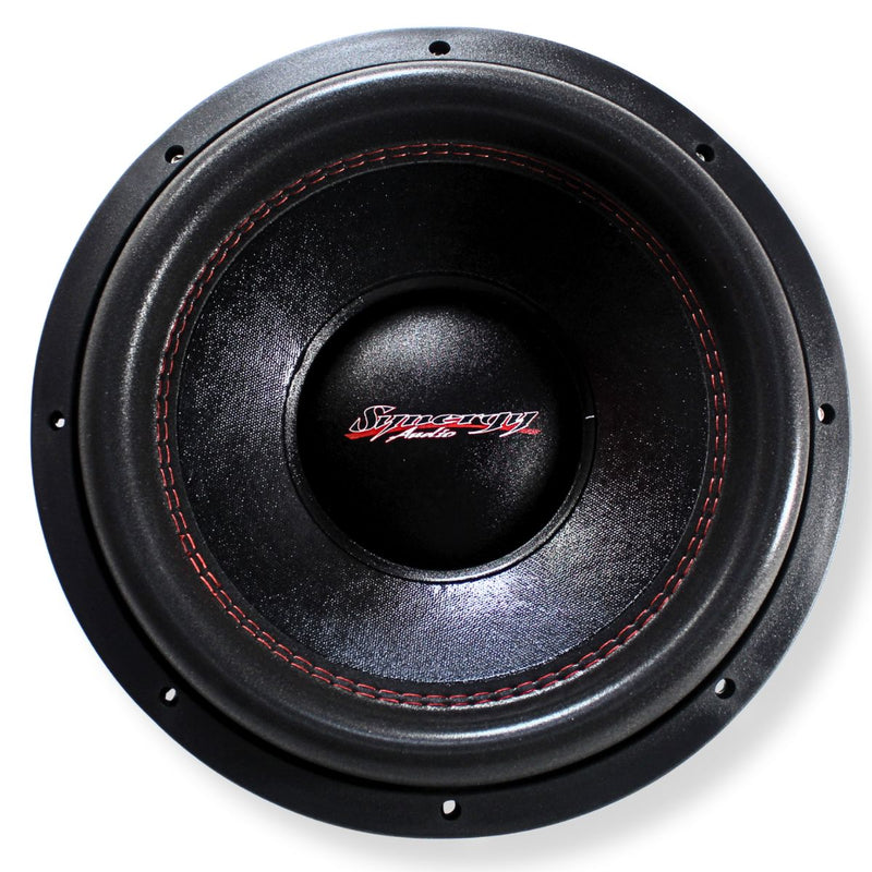 Synergy Audio 12" 1250W RMS Dual 2 Ohm Subwoofer SYN Series SYN-12D2