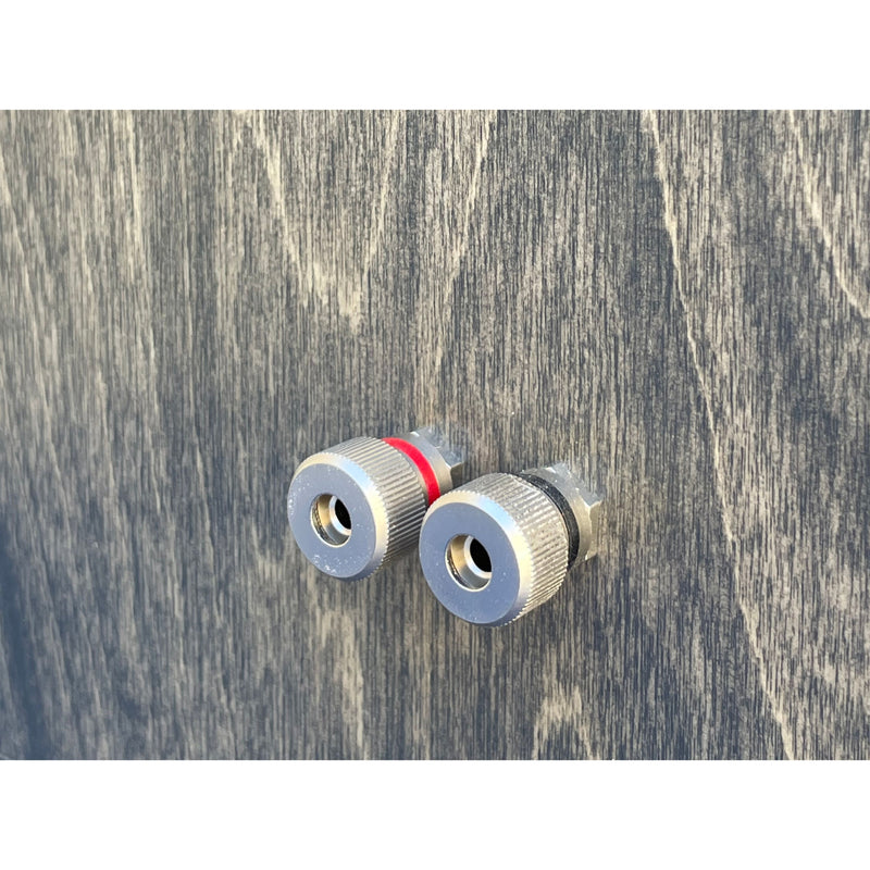 Dual Universal Birch 10" Ported Subwoofer Box 1" Baffle Tuned To 33Hz