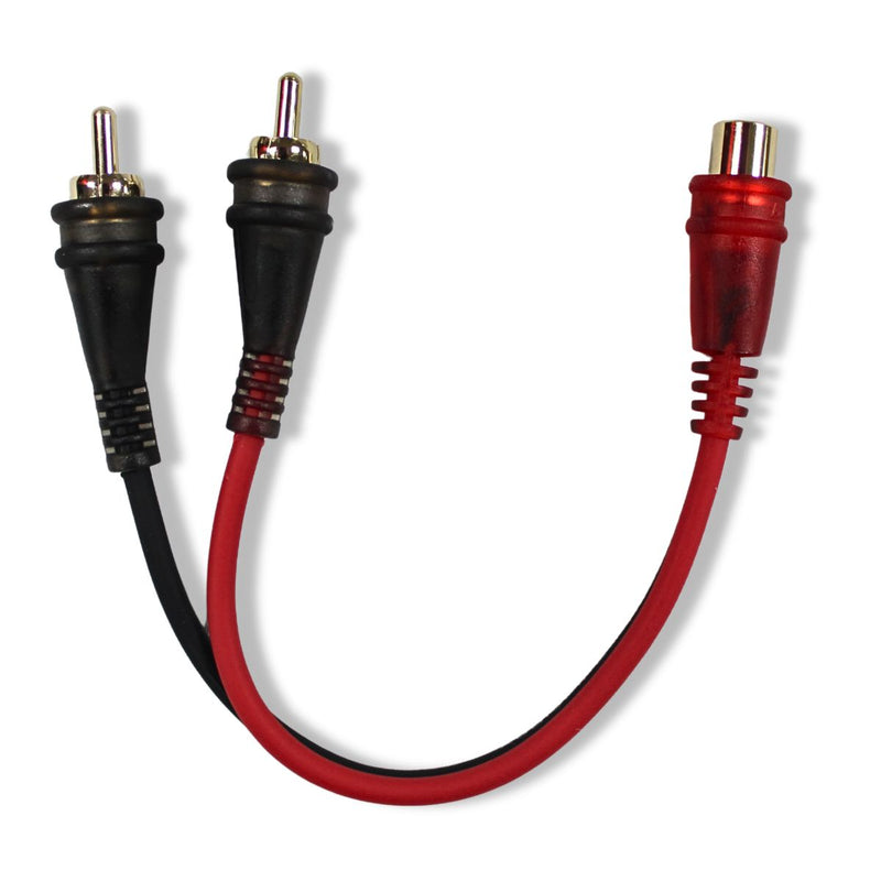 Audiopipe 6" Frosted Female to Two Male RCA Y-Cable – 10-Pack (AMFV-YF-2M)