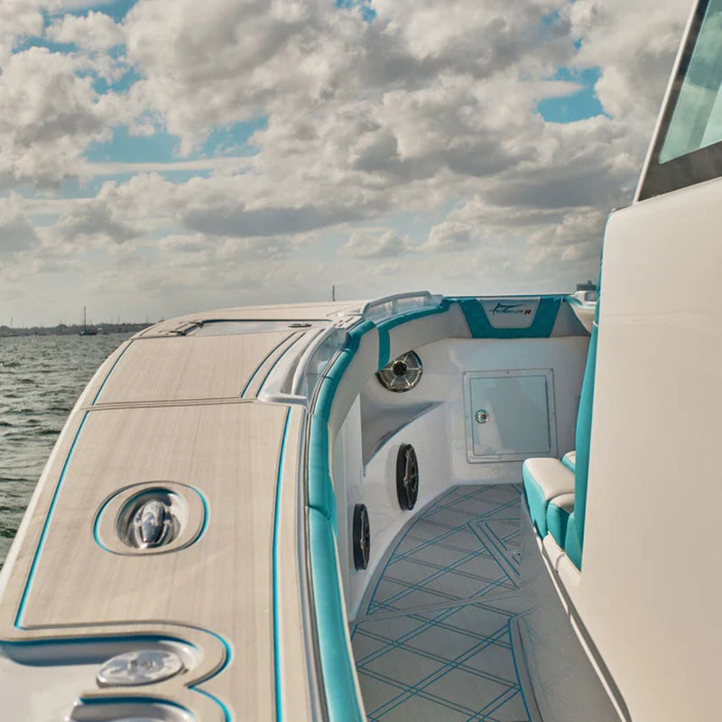 DS18 10" Marine Single Voice coil 4 Ohm 300W Subwoofer W/ LED RGB Lights CF10SUB