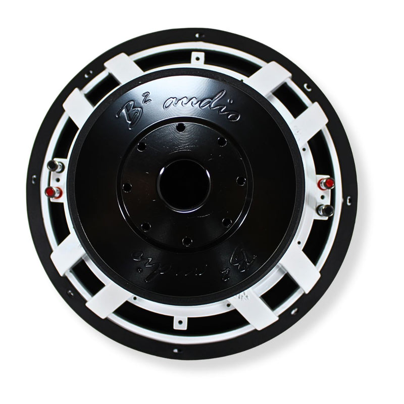 B2 Audio 15" Subwoofer 1000W RMS 3" Voice Coil Dual 2-Ohm RIOT