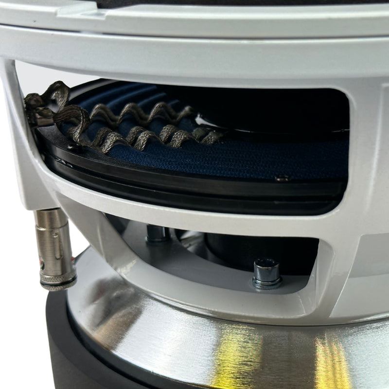 Resilient Sounds V2 Gold Series 10" Dual 2 Ohm 1500 Watt RMS Subwoofer