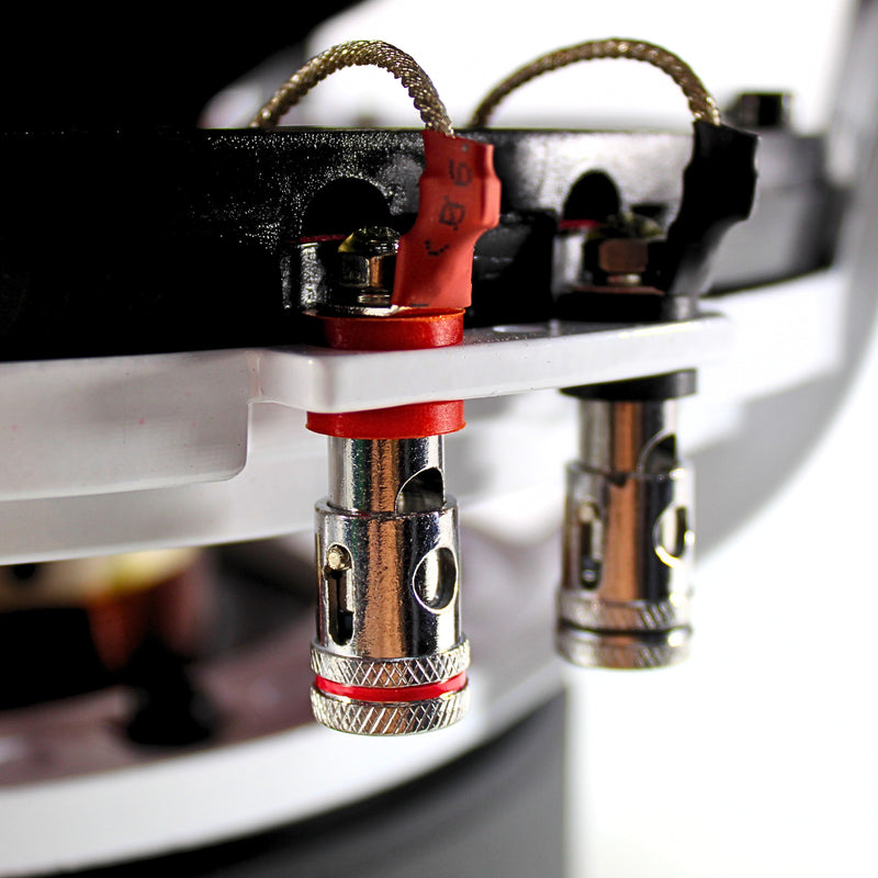 B2 Audio 12" 1000 Watt RMS Dual 4-Ohm 3" Voice Coil RIOT Series Subwoofer