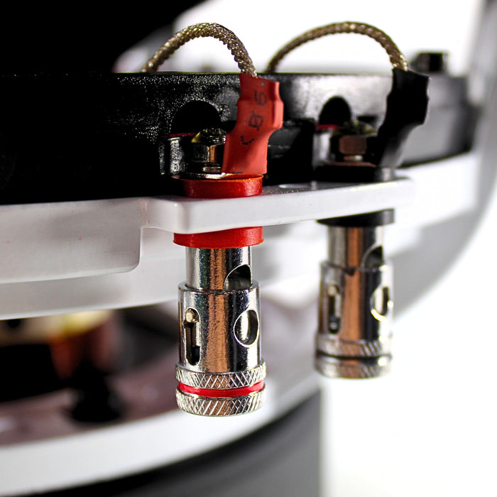 B2 Audio RIOT Series 12" 1000 Watt RMS Dual 2-Ohm 3" Voice Coil Subwoofer