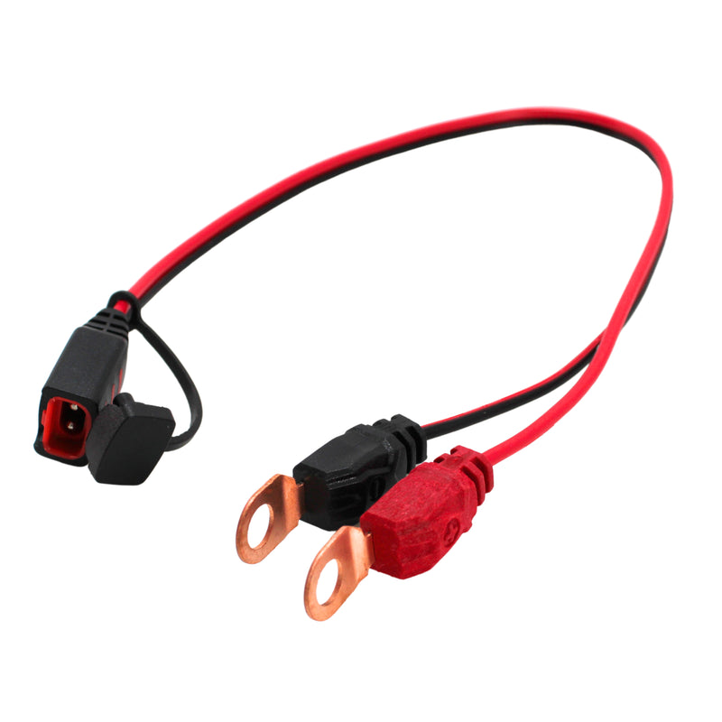 DS18 15 Amp Automatic Smart Lithium AGM Battery Charger and Maintainer INF-C15A