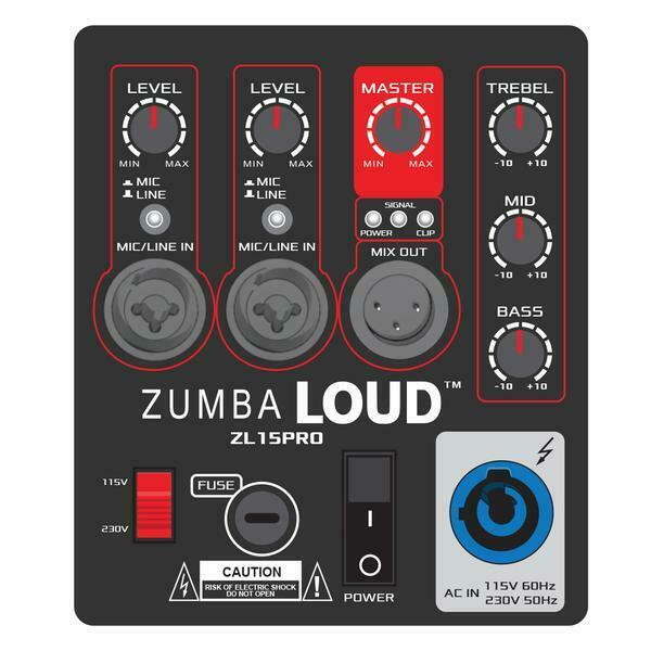 DS18 Zumba Loud 15" PRO Powered Loudspeaker Portable Speaker System ZL15PRO