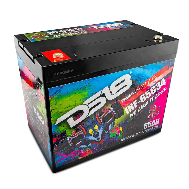 DS18 12 Volt Battery INFINITE 65AH 2000 Watt Group 34 780 AMP AGM INF-65G34AH