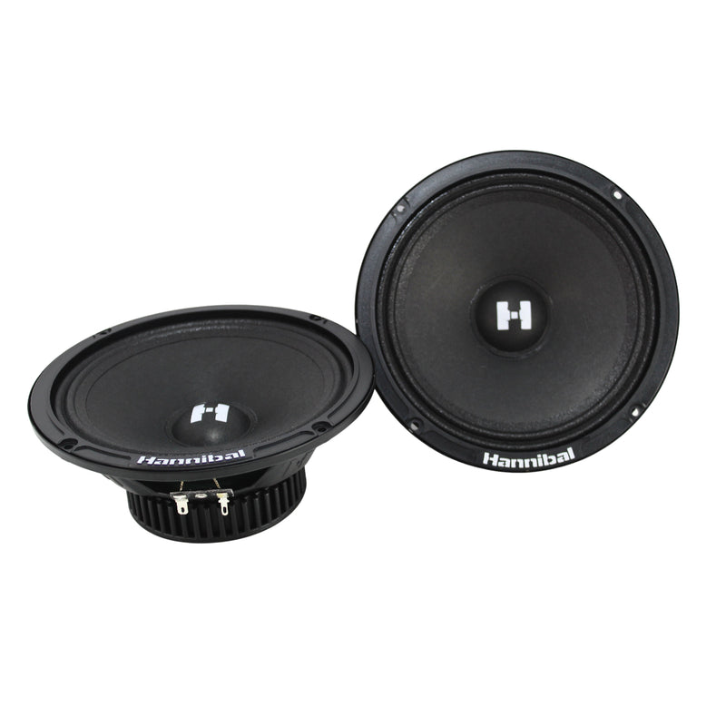 Top view of Deaf Bonce HM-6E 6.5" midrange speaker pair showing cone and dust cap design from the Hannibal E Series.