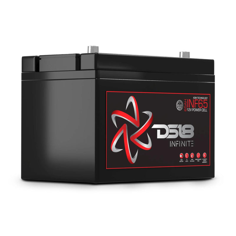 DS18 12V Battery 65 AH 2000W AGM Group 24 1200 Amp Non Spillable INFINITE INF-65