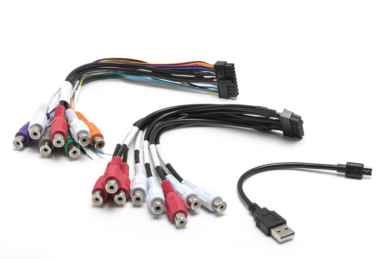 Rockford Fosgate All-In-One Digital Sound Processor & Amplifier Replacement DSR1